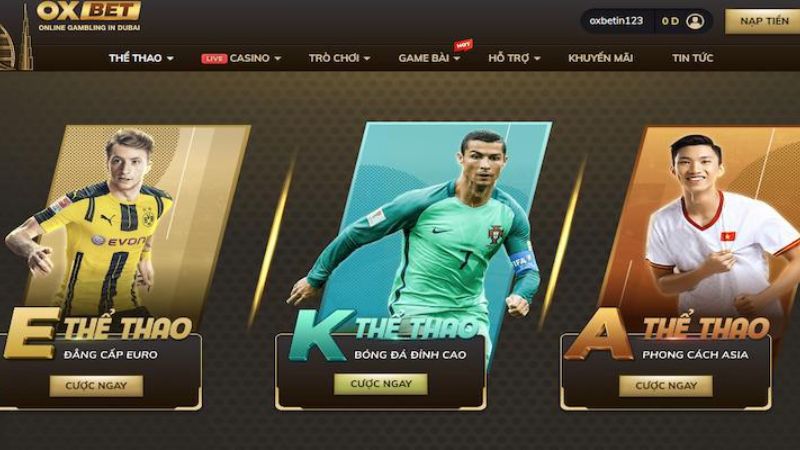 Oxbet được người dùng đánh giá cao trong các lĩnh vực cá cược