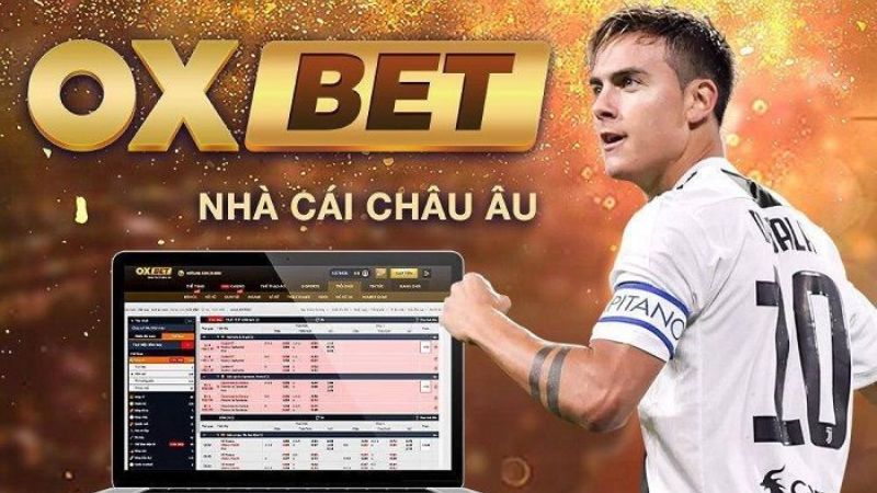 Oxbet nền tảng cá cược trực tuyến uy tín hàng đầu tại Đông Nam Á